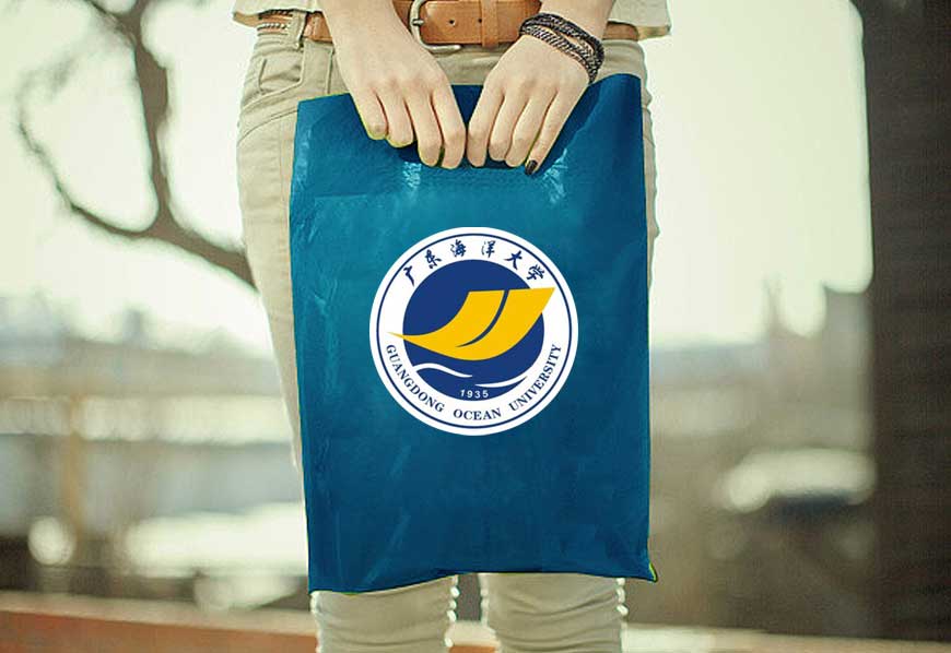 廣東海洋大學?；赵O計具象與抽象完美結合-3